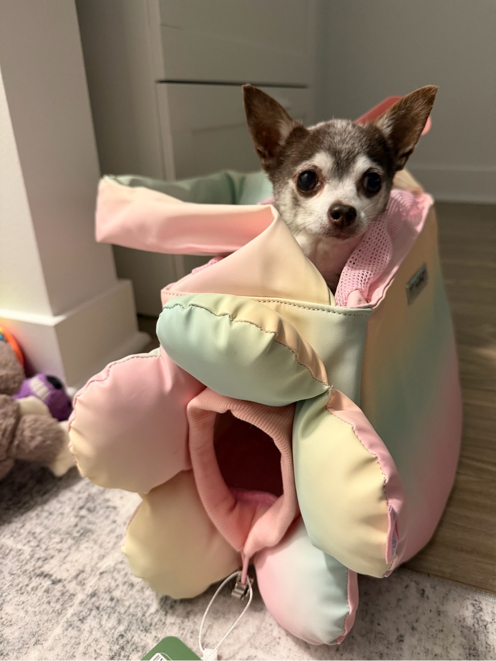 Small Dog Carrier Tote Pastel Rainbow